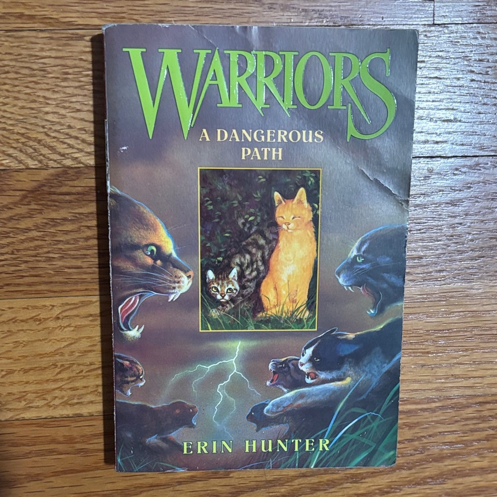 Warriors: A Dangerous Path by Hunter - soft cover book